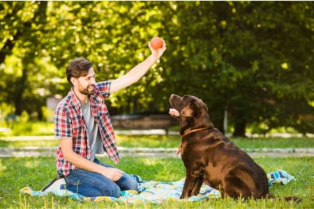 Dicas de atividades ao ar livre para você e seu pet